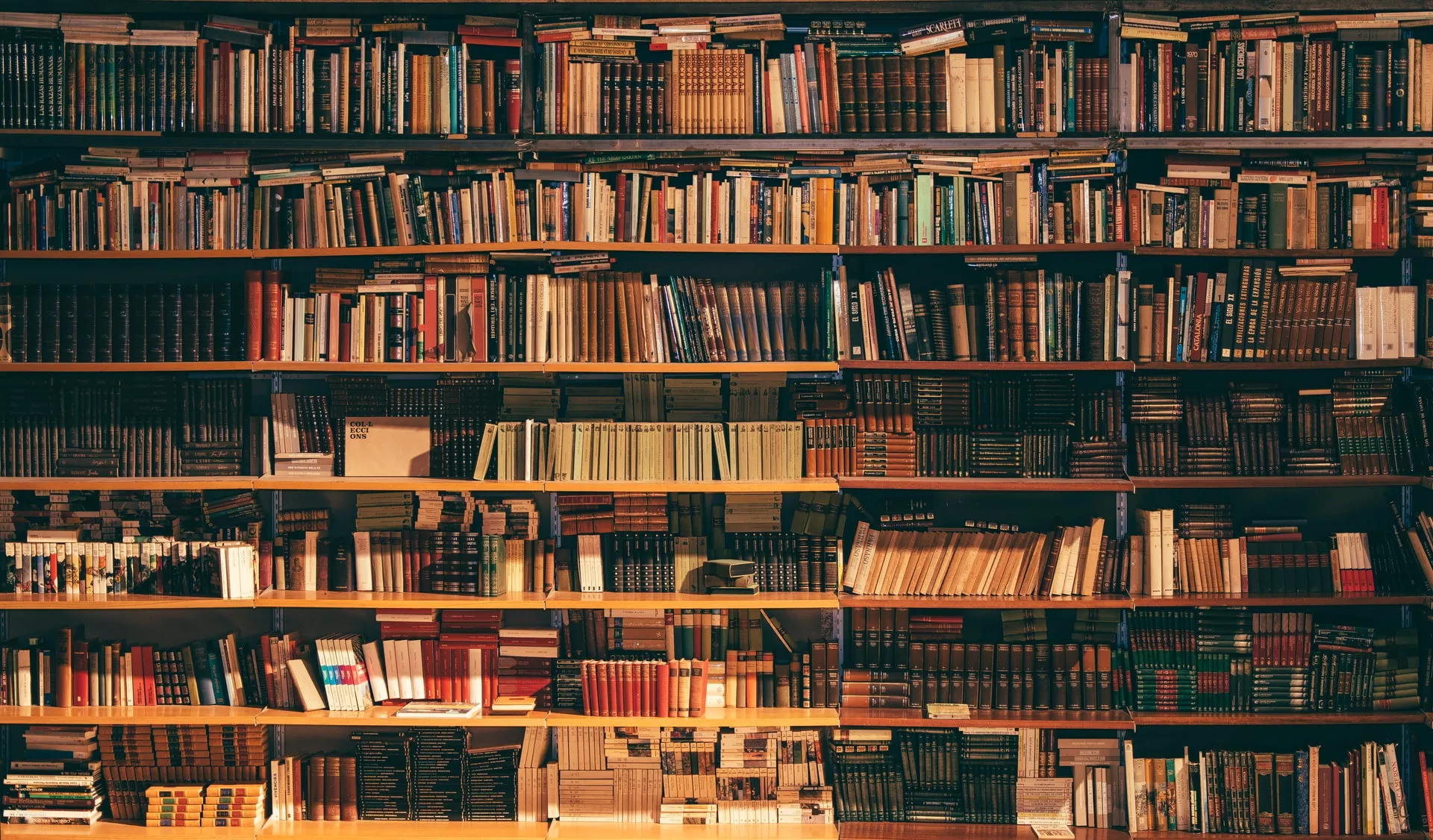 25 Livros para Ler em 2025: Prepare-se para uma Jornada Literária Incrível!