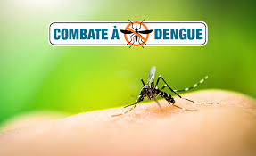 Combate à Dengue no Verão: Medidas que a População Pode Tomar